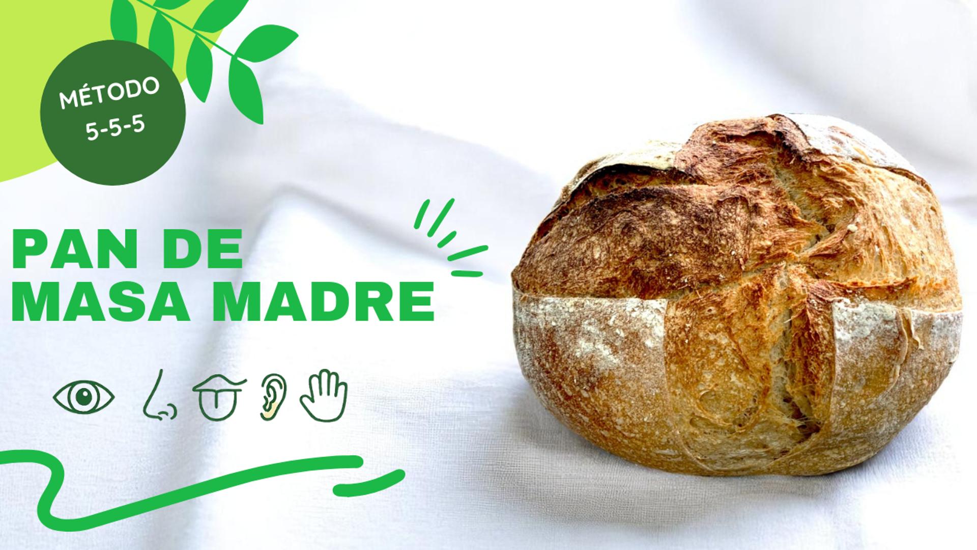 Nuestro Primer Pan con Masa Madre | Método 5-5-5 Paso a Paso