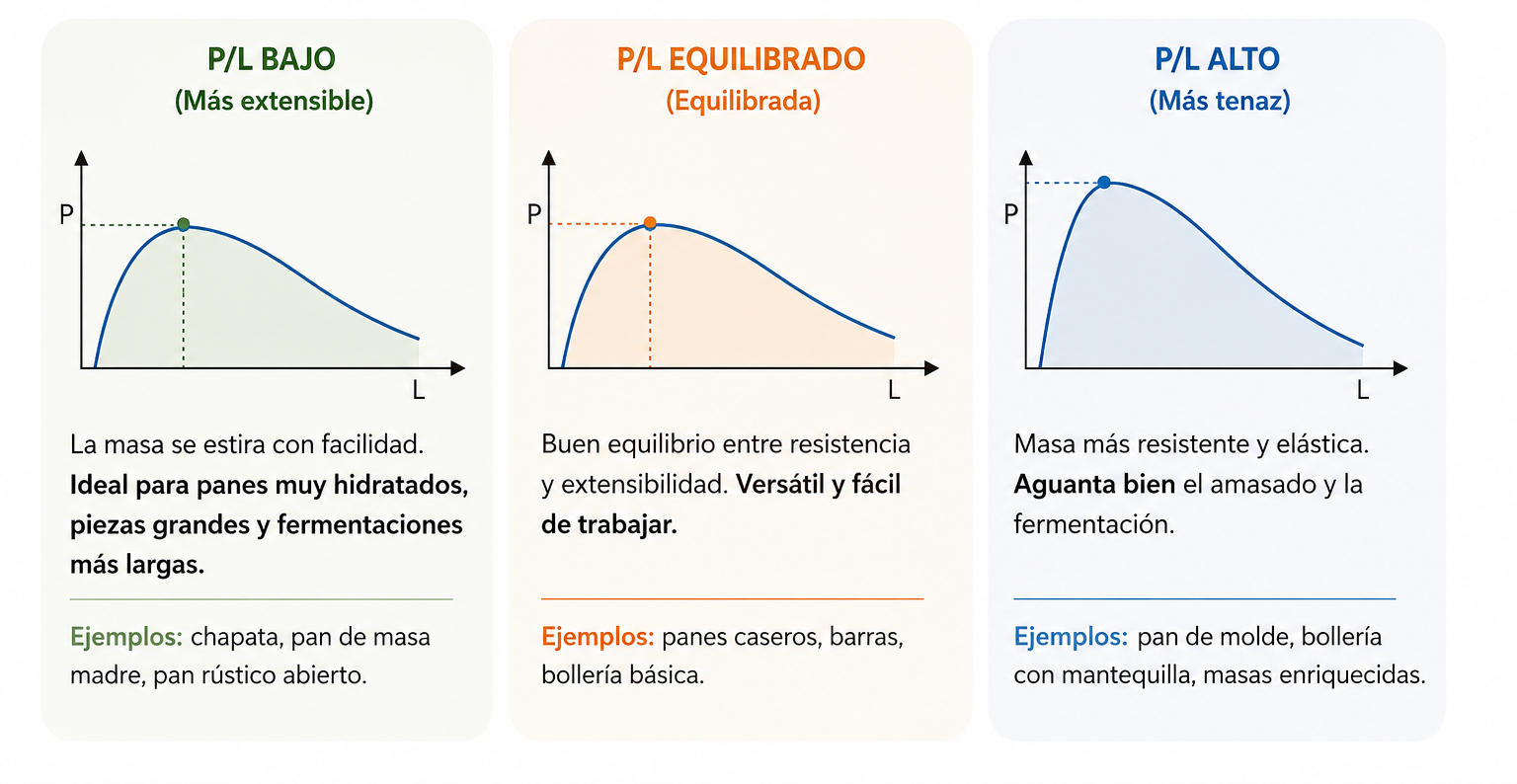 Cómo la relación P/L muestra el equilibrio entre tenacidad y extensibilidad de una harina