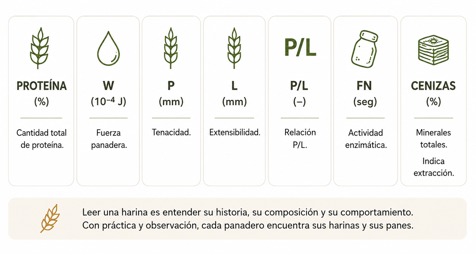 Guía para interpretar los principales datos de la ficha técnica de una harina