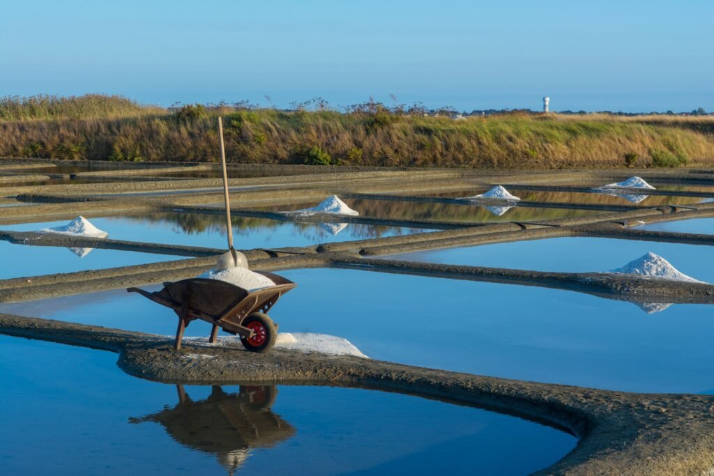 Sal recogida en salinas tradicionales con carretilla junto a los estanques