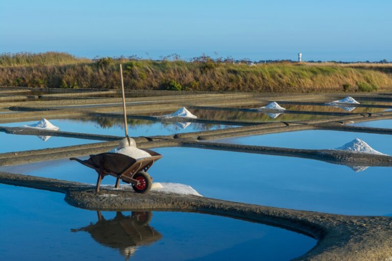 Sal recogida en salinas tradicionales con carretilla junto a los estanques
